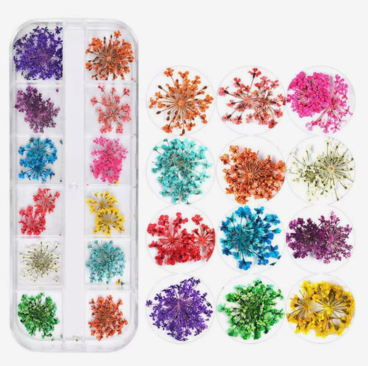 12 Color Flowers